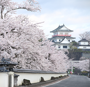 涌谷神社　城山公園と桜並木